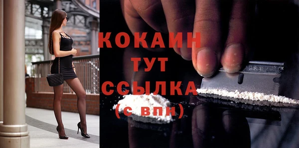 соль ск Няндома