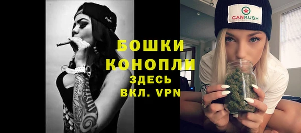 соль ск Няндома