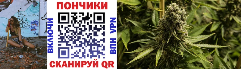 Купить где  Кологрив  Бошки Шишки VHQ 